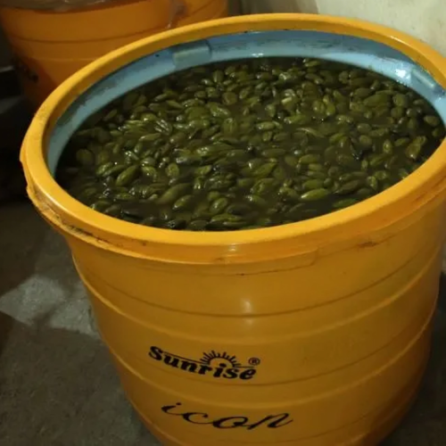 Pickle Storage