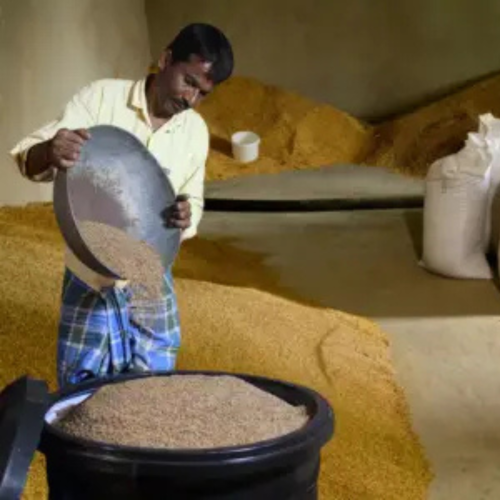 Paddy Storage